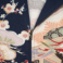 �摜