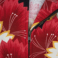 �摜